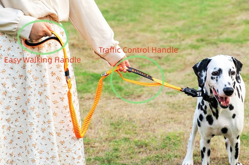 Premium Durable Quick-Release Dog Lead